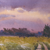 Закат в поле, 2007
14.5x27 см; картина не продается